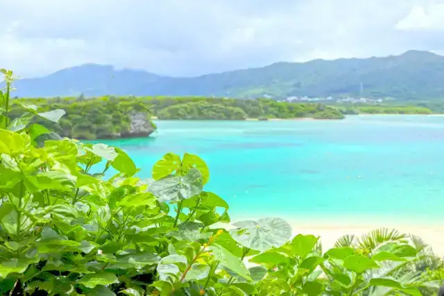 コンフォートホテル石垣島