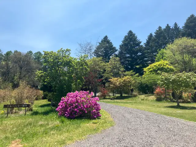 艮山荘