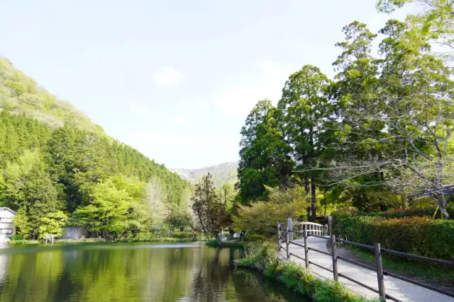 ゆふいんバース里山茶風
