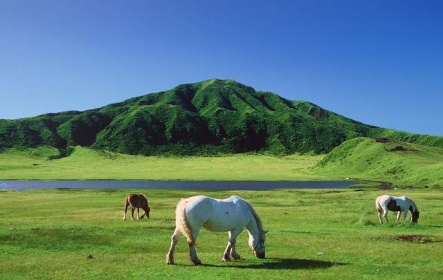 阿蘇鶴温泉ロッジ村