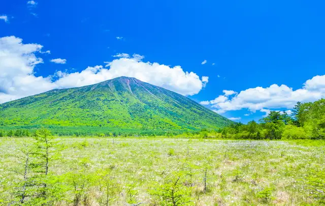 TAOYA日光霧降