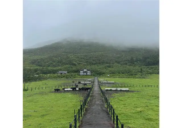八丈島ロッジオーシャン