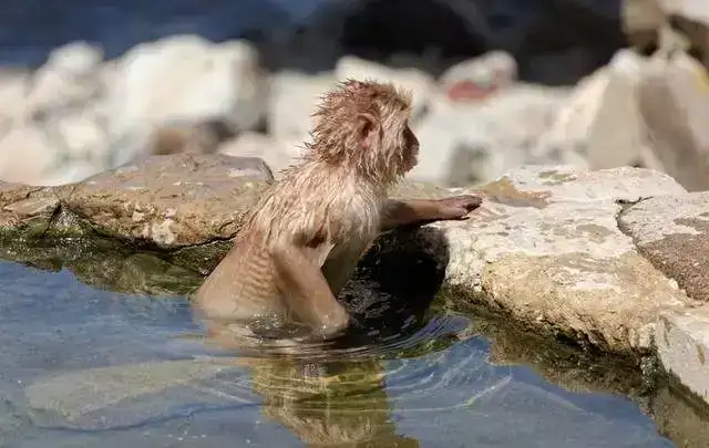 御宿 炭乃湯