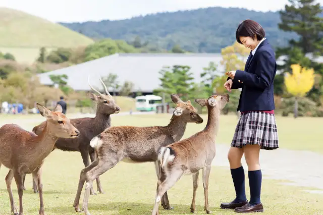 フェアフィールド･バイ･マリオット･奈良天理山の辺の道