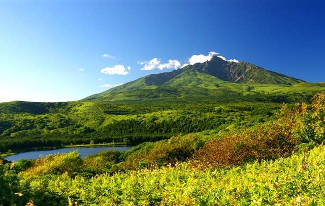 田中家　ひなげし館