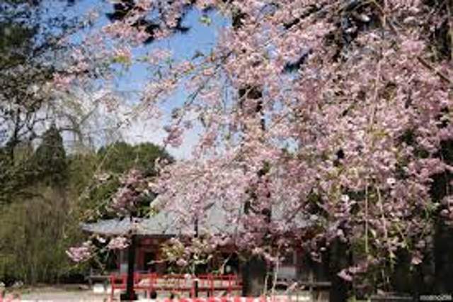 赤松院