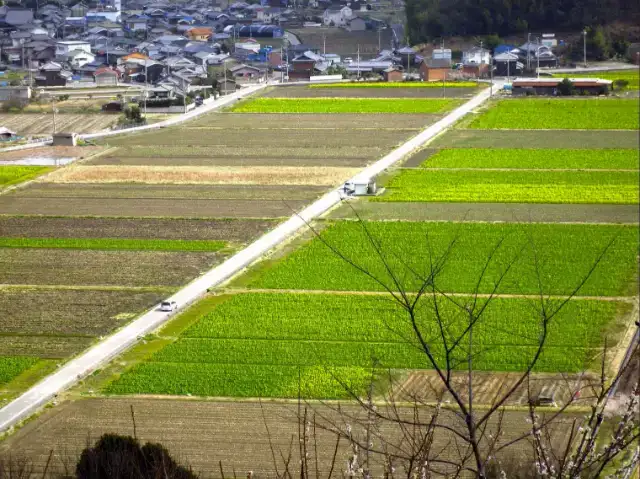 リゾーピア久美浜