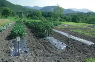 たかつえスキー場