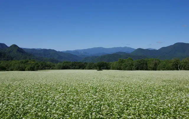 たかつえスキー場
