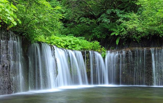 軽井沢72ゴルフ