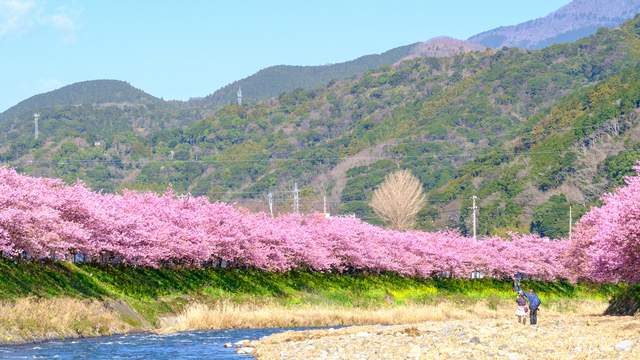 下田伊東園ホテルはな岬