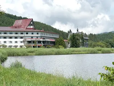白樺湖ビューホテル