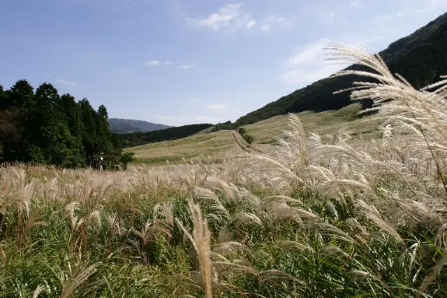 HAKONE NICA