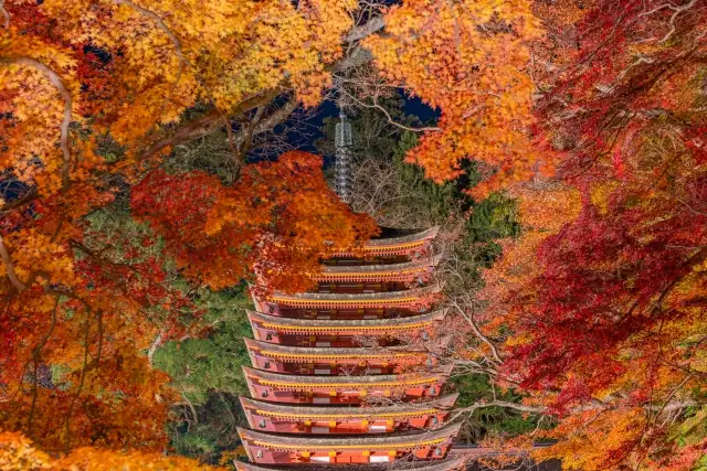 多武峰(とうのみね)観光ホテル