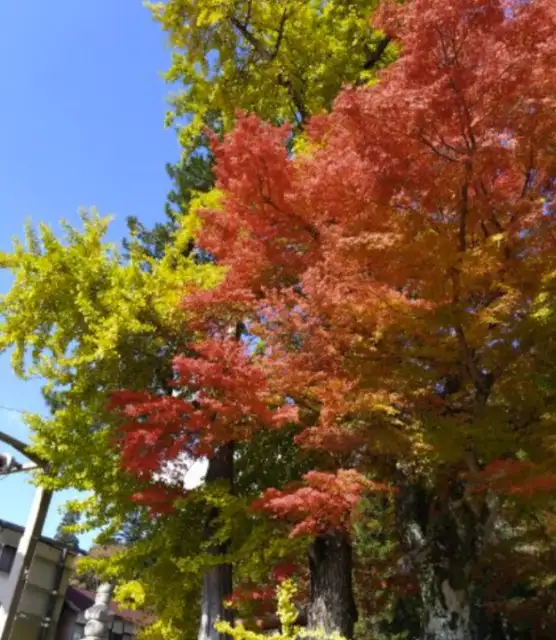 熊谷寺