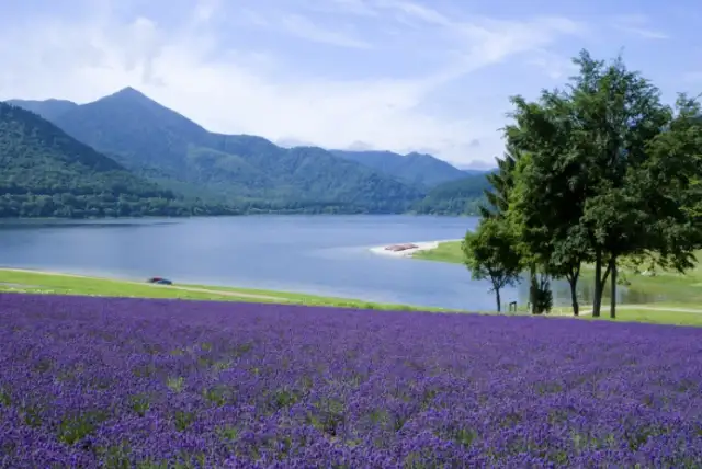フェアフィールド･バイ･マリオット･北海道南富良野