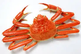 湯宿ささくら