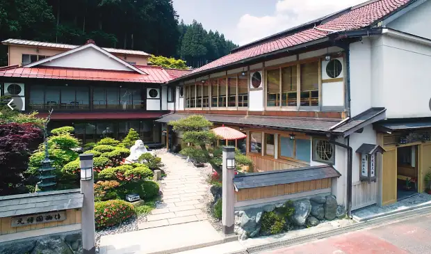 光緑園西清