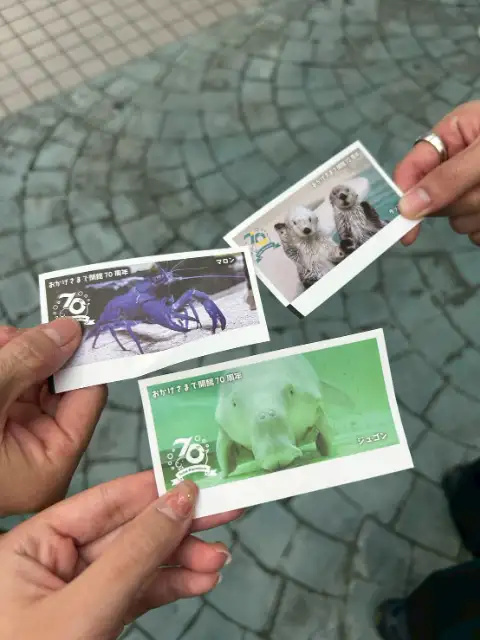 家族旅行で鳥羽水族館に行きました🎶全国でも珍しいラッコもジュゴンもかわいすぎました💖
