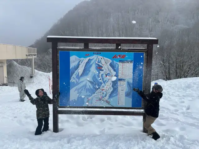このはな
