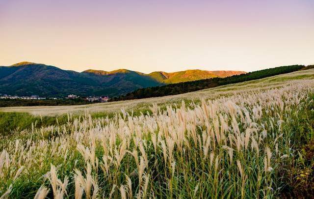 ホテルマイユクール祥月
