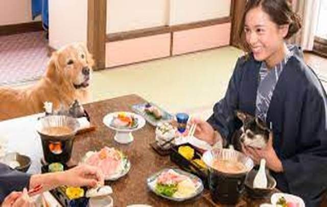 下呂紅葉館 別館わん泊亭