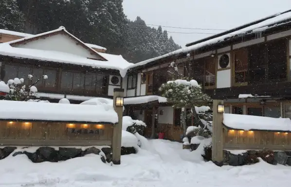 光緑園西清