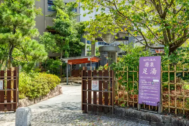 大江戸温泉物語 山代彩朝楽