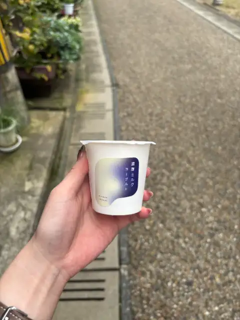 近くのヨーグルト屋!おすすめです!