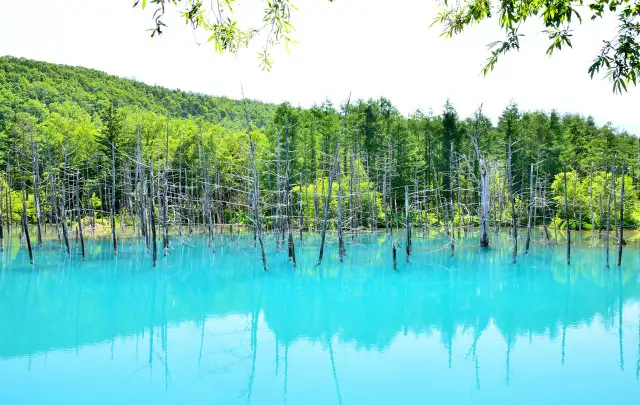 青い池💙