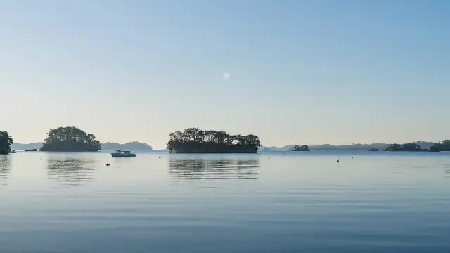 YOKI MATSUSHIMA