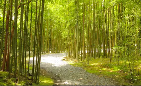 絶景の離れの宿　月のうさぎ