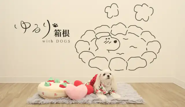 ゆるり箱根withDOGS