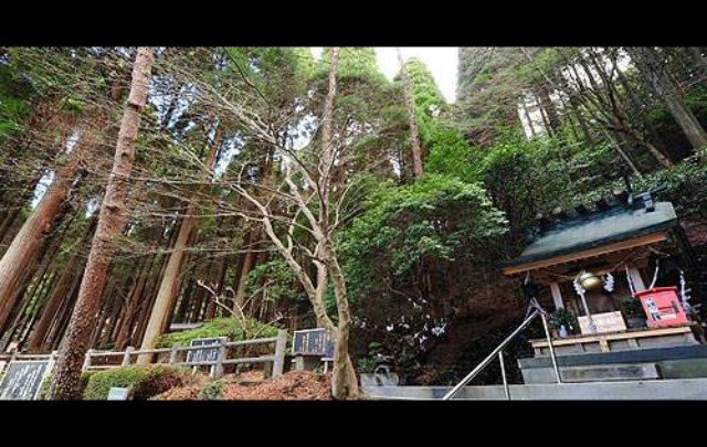 霧島ホテル