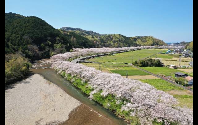 下田セントラルホテル