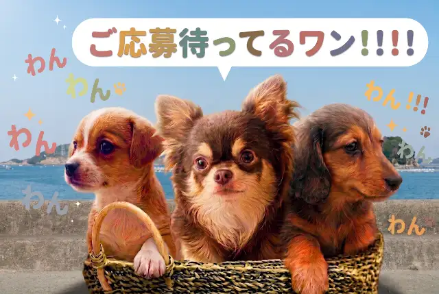 鳥羽わんわんパラダイスホテル
