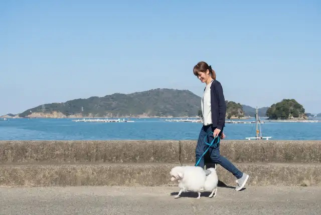 鳥羽わんわんパラダイスホテル