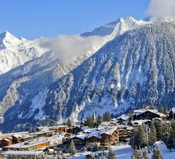 THE ALPS HOTEL HAKUBA