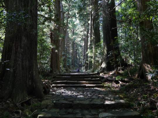 中の島