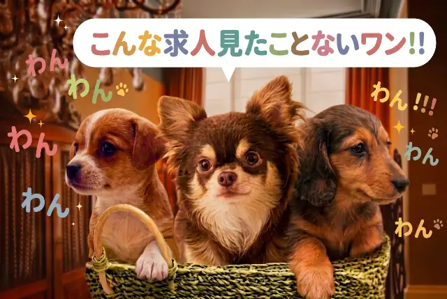 松阪わんわんパラダイス森のホテルスメール
