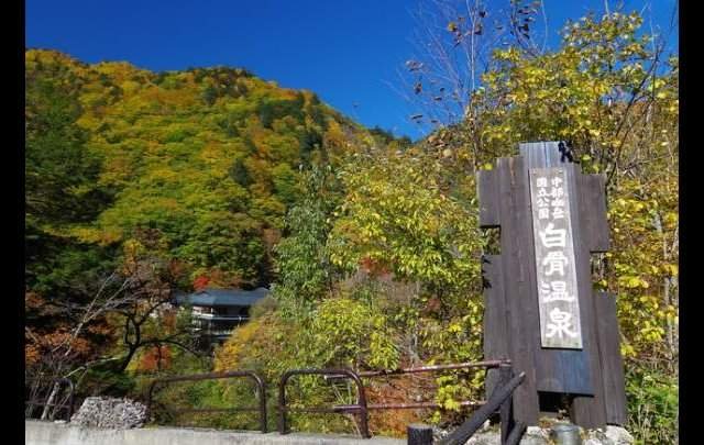 湯元齋藤旅館